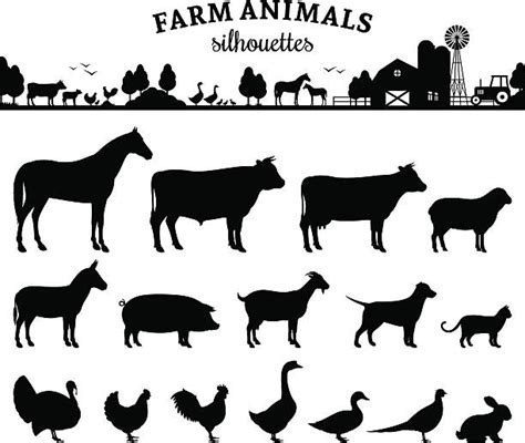 Clipart Farm Animals Black And White Drawings