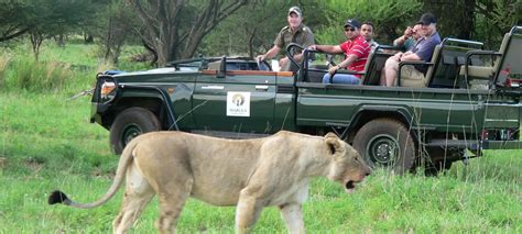 Mabula Game Reserve Safaris - Tours, packages and lodging