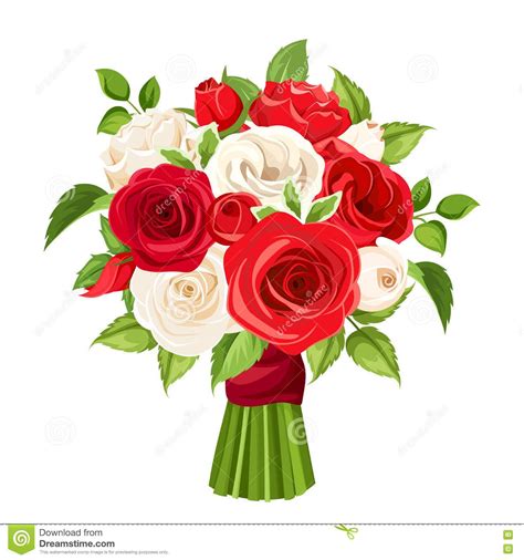ramo de rosas rojas y blancas ilustraci 243 n vector | Red and white roses, Red and pink roses ...