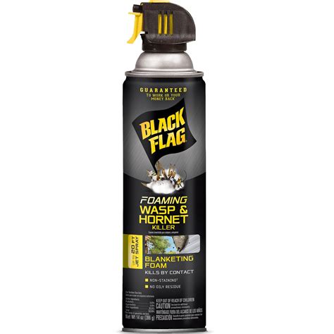 Spectracide Wasp And Hornet 20-oz Insect Killer Aerosol | lupon.gov.ph