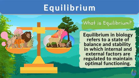 Equilibrium - Definition and Examples - Biology Online Dictionary