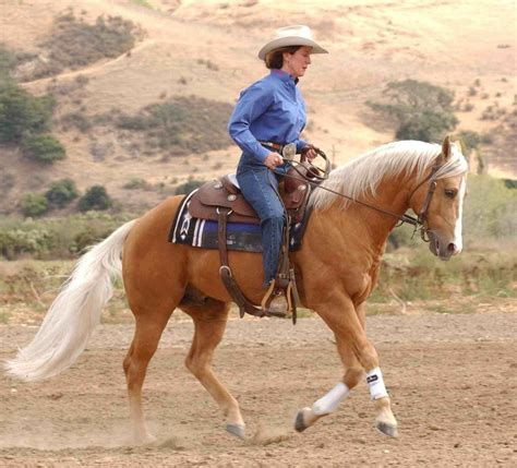 a woman riding on the back of a brown horse across a dirt field with ...