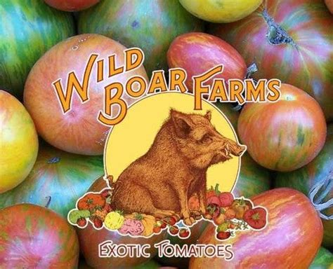 Wild Boar Farms: Tomato Varieties for 2020 — Green Acres Nursery & Supply