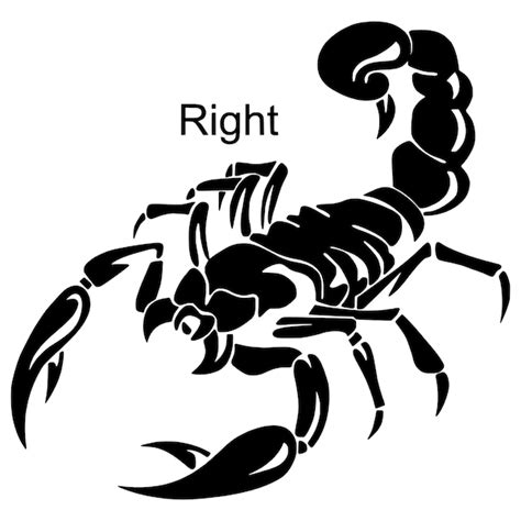 Scorpion Car Decal - Etsy