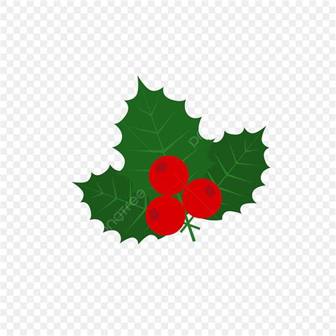 Holly Leaves Vector Art PNG, American Holly Leaves With Fruit Cartoon On Transparent, Holly ...