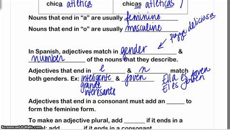 Noun & Adjective Agreement - YouTube