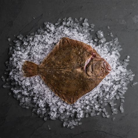 Buy Turbot | Fresh Turbot | Free UK Delivery