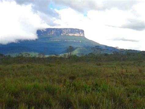 Gran sabana | Natural landmarks, Landmarks, Nature