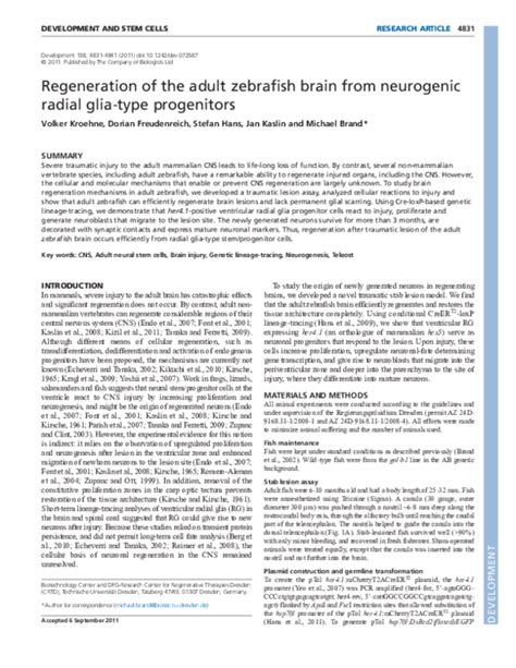 (PDF) Regeneration of the adult zebrafish brain from neurogenic radial ...