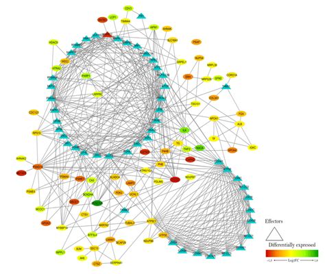 Visual protein interaction network map of the proteins significantly ...