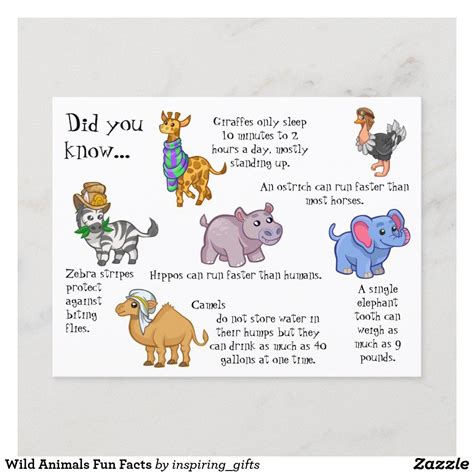 Wild Animals Fun Facts Postcard | Zazzle