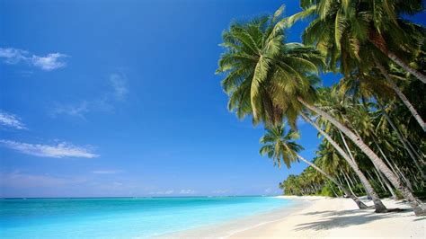 Caribbean Beach Desktop Wallpapers - Top Free Caribbean Beach Desktop ...