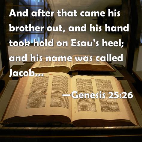 Genesis 25:26 And after that came his brother out, and his hand took hold on Esau's heel; and ...