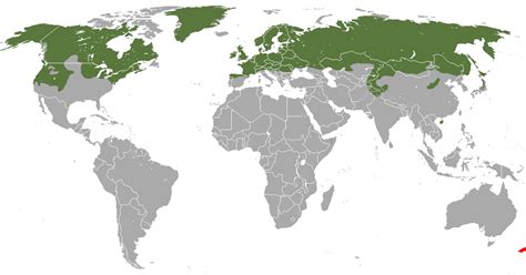 Abe's Animals: Stoat range map