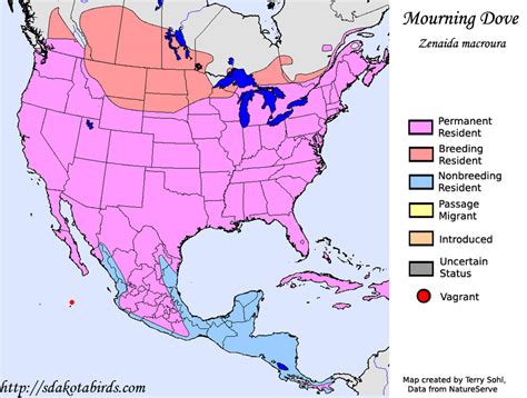 Mourning Dove - Species Range Map