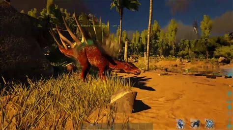 Ark Bait and Taming Tutorial for Immersive Taming Mod - YouTube