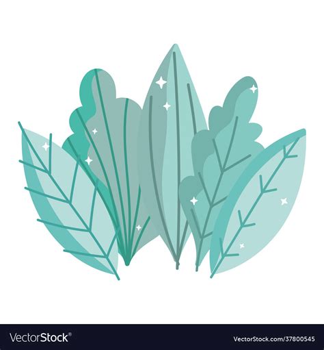 Leaves frond nature Royalty Free Vector Image - VectorStock