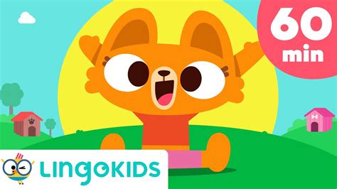 LINGOKIDS LISA BEST SONGS 😺🎶 Dance and Learn with LISA the Cat! - YouTube