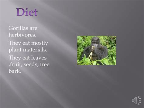 PPT - Gorilla’s PowerPoint Presentation, free download - ID:2881456