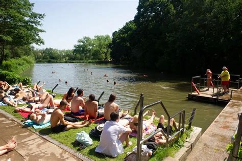 Hampstead Heath ponds reopen after lockdown with phased early morning swims - MyLondon