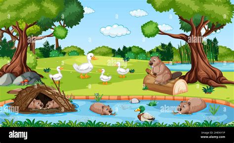 River in the forest scene with wild animals illustration Stock Vector Image & Art - Alamy