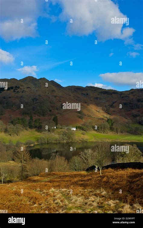 Loughrigg Tarn, near Skelwith Bridge, South Lakeland, Lake District National Park, Cumbria ...