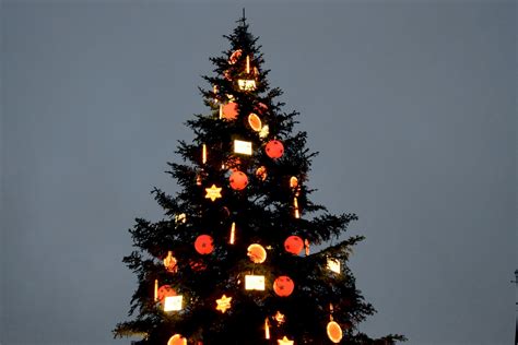 The Top Traditions of the French Christmas Tree - French Moments