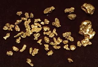 Gold nuggets (placer gold) (Cache Creek, near Granite, Cha… | Flickr