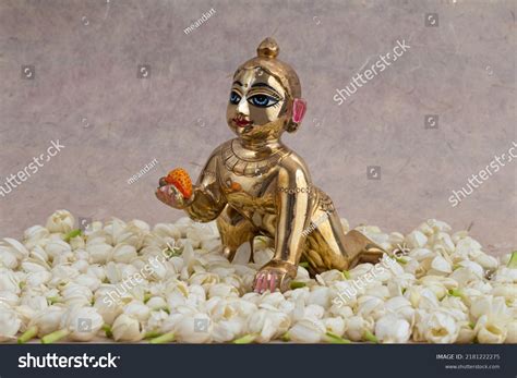 Bal Krishna Laddu Gopal Brass Statue Stock Photo 2181222275 | Shutterstock