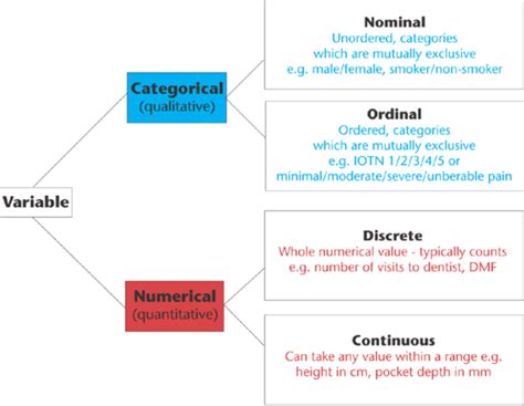 Nominal Ordinal Interval Ratio Scales