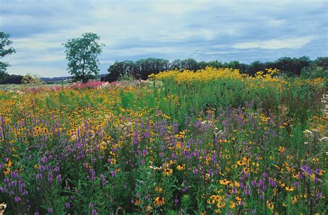 Prophetstown State Park, Upcoming Events in West Lafayette on