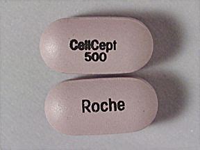 CellCept: Side effects, uses, cost, dosage, and more