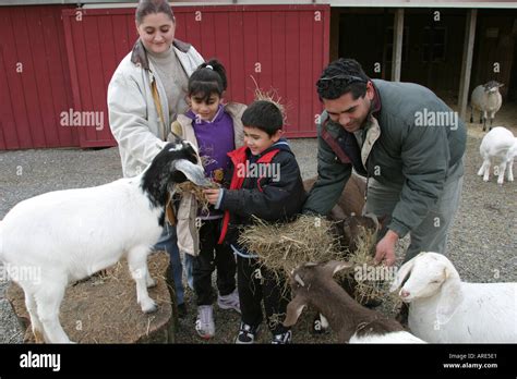 Newport News Virginia,SPCA Petting Zoo,VA 121303 0079 Stock Photo - Alamy