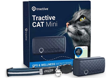 Top 6 Best Cat GPS Trackers: 2024 Ultimate Guide & Reviews