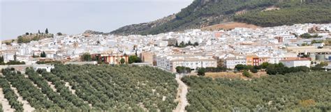 Activities, Guided Tours and Day Trips in Rute - Civitatis.com