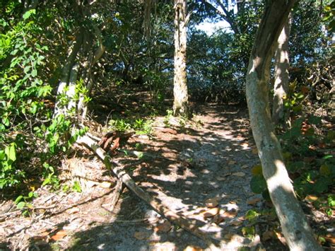 Anna Maria Island Bike Ride To Robinson Preserve