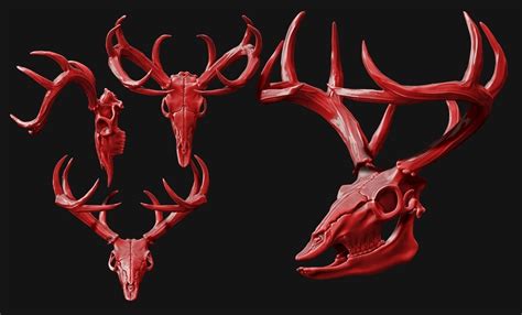 3D Printed Deer Skull - CNC and 3D print model by TheGoodBrick | Pinshape