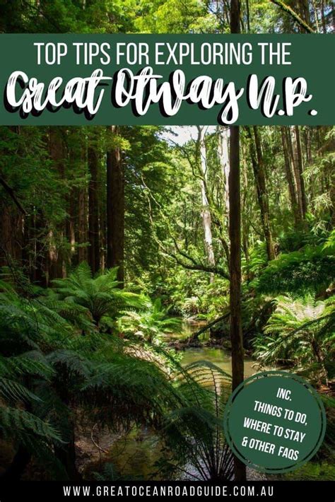 Top Tips for Exploring the Great Otway National Park | Great Ocean Road ...