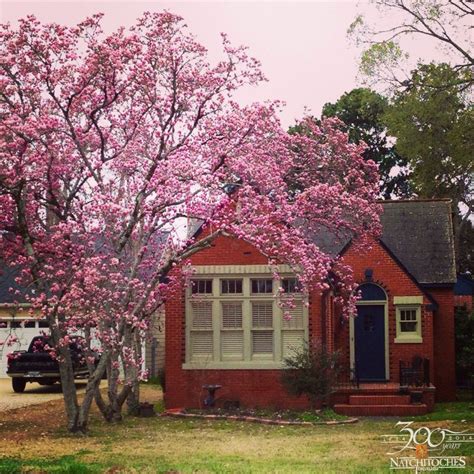 78+ images about Historic Natchitoches, Louisiana on Pinterest | History museum, Fine dining and ...