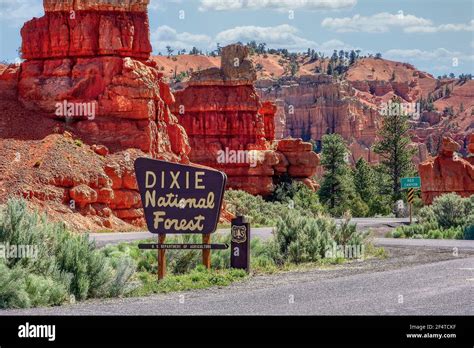 Dixie National Forest Stock Photo - Alamy