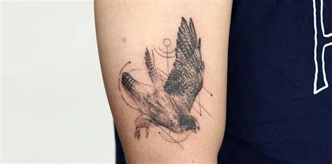 9 Bird Tattoo Ideas With Meanings For 2023 — TRILOGY ATELIER