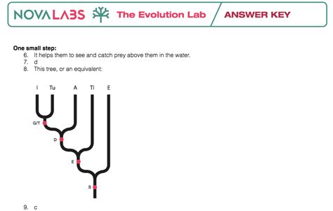 Unit 1-2: Cladistics – The Biology Classroom