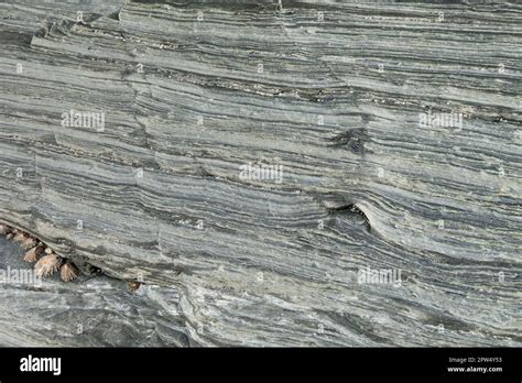 Slate and schist background texture. Closeup view Stock Photo - Alamy