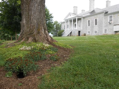 Virginia-Belle Grove Plantation – Wayfaring Flaneur