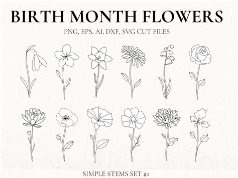 Simple Stem Birth Flower Clip Art Set by Rebecca Wasserberg on Dribbble