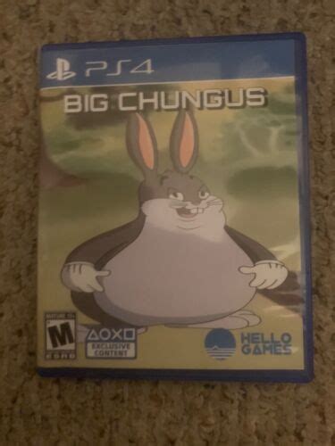 NEW HD COVER - Big Chungus PS4 PS5 Game Case ONLY - CUSTOM | eBay