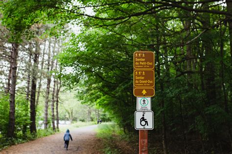 Day Out: Parc National du Mont-Saint-Bruno | Roasted