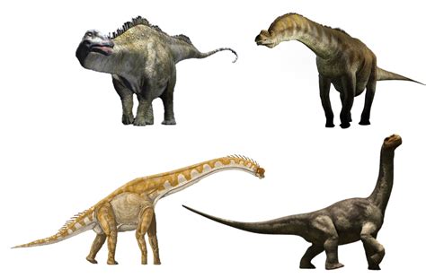 Sauropod Size Comparison