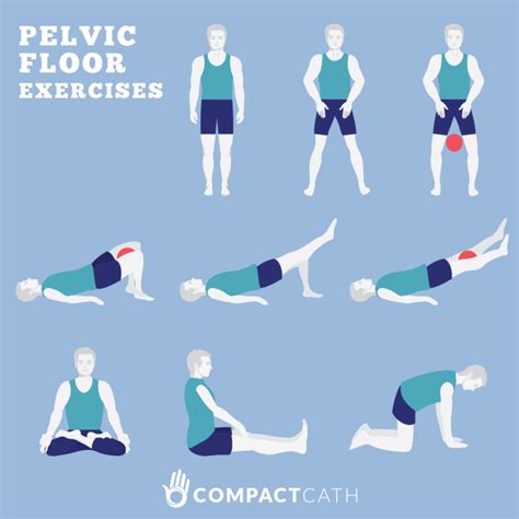 Urinary Incontinence_Pelvic exercise - CompactCath