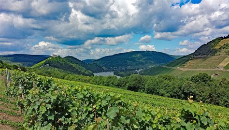 Free Images : landscape, vineyard, wine, field, meadow, hill, flower, river, valley, mountain ...